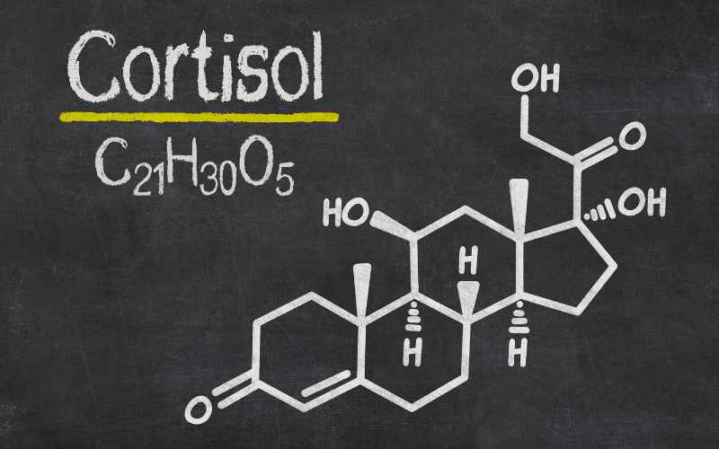 Cortisol