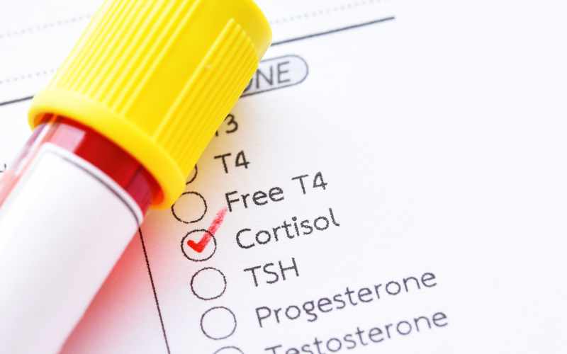 Cortisol meten